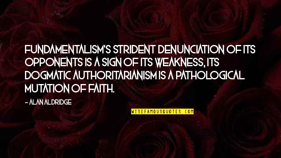 Dogmatic Theology Quotes By Alan Aldridge: Fundamentalism's strident denunciation of its opponents is a