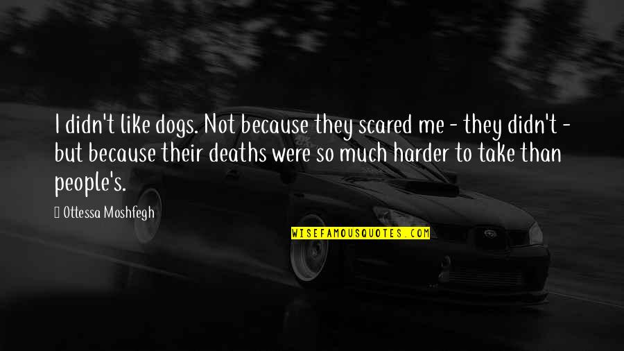 Dognit Quotes By Ottessa Moshfegh: I didn't like dogs. Not because they scared Dognit Quotes By Ottessa Moshfegh: I didn't like dogs. Not because they scared