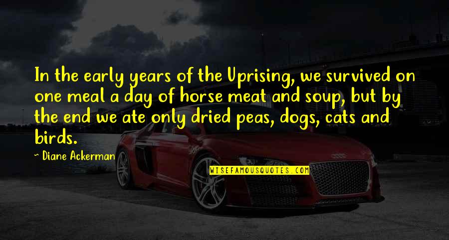Dogs And Cats Quotes By Diane Ackerman: In the early years of the Uprising, we