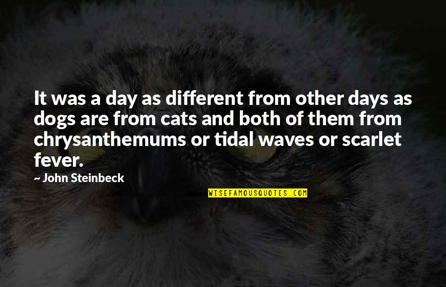 Dogs And Cats Quotes By John Steinbeck: It was a day as different from other