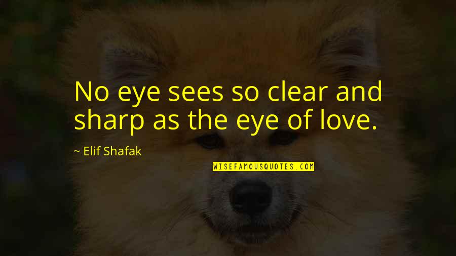 Dogs And Health Quotes By Elif Shafak: No eye sees so clear and sharp as