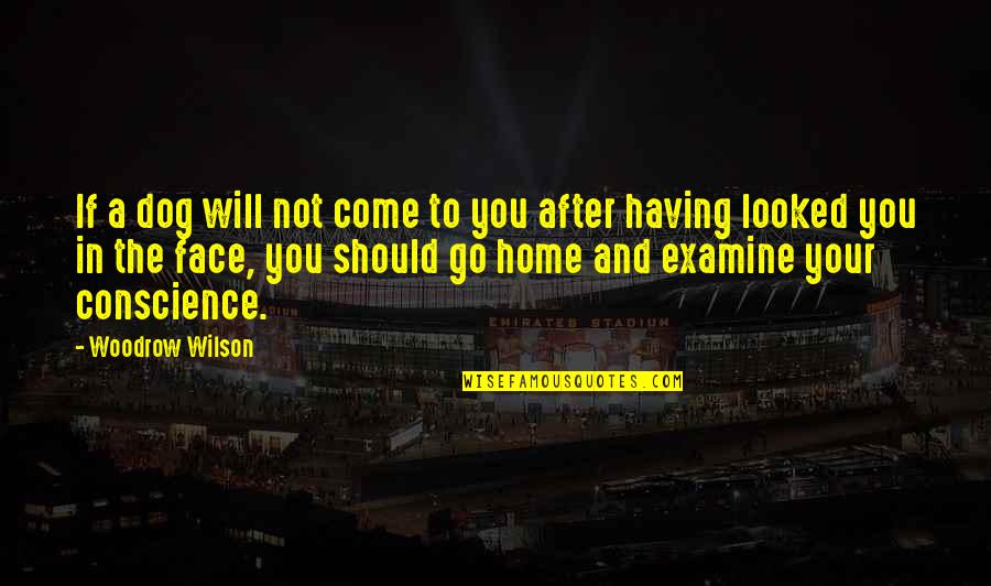 Dogs And Home Quotes By Woodrow Wilson: If a dog will not come to you