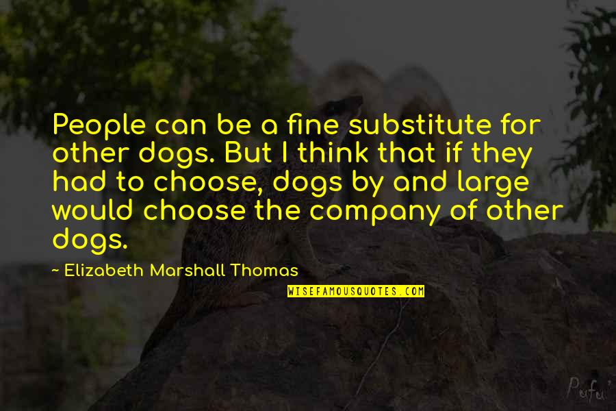 Dogs And People Quotes By Elizabeth Marshall Thomas: People can be a fine substitute for other