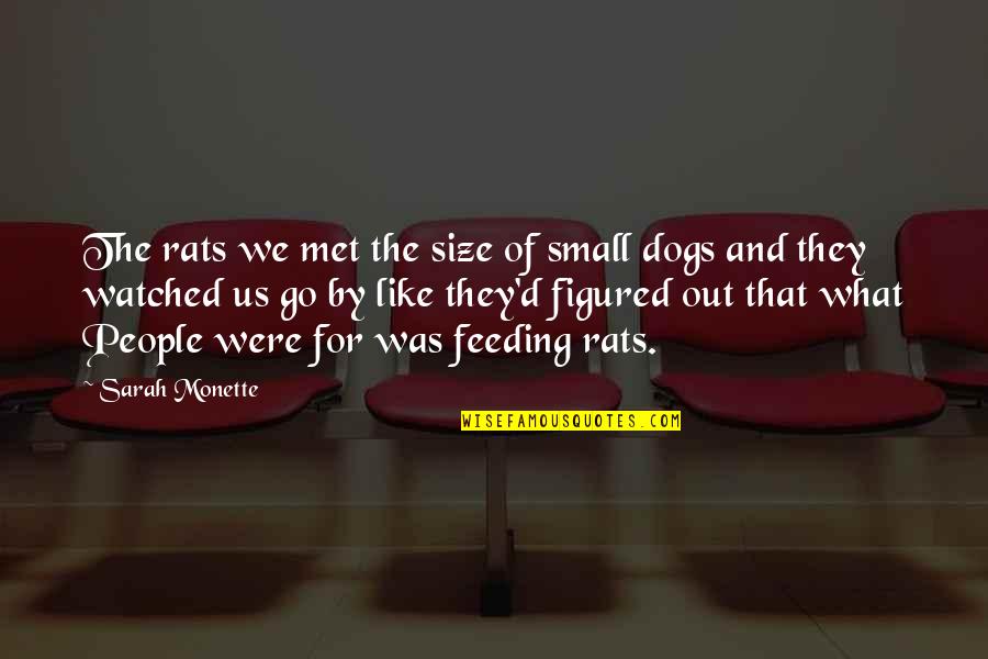 Dogs And People Quotes By Sarah Monette: The rats we met the size of small