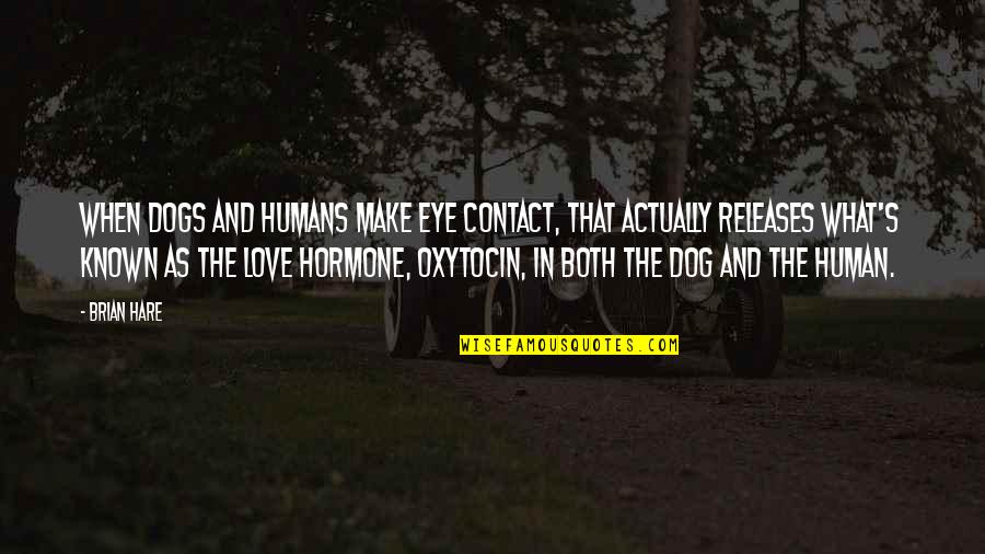 Dogs And Their Humans Quotes By Brian Hare: When dogs and humans make eye contact, that