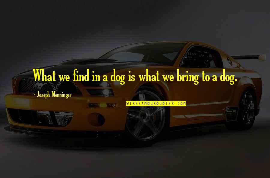 Dogs And Their Humans Quotes By Joseph Monninger: What we find in a dog is what