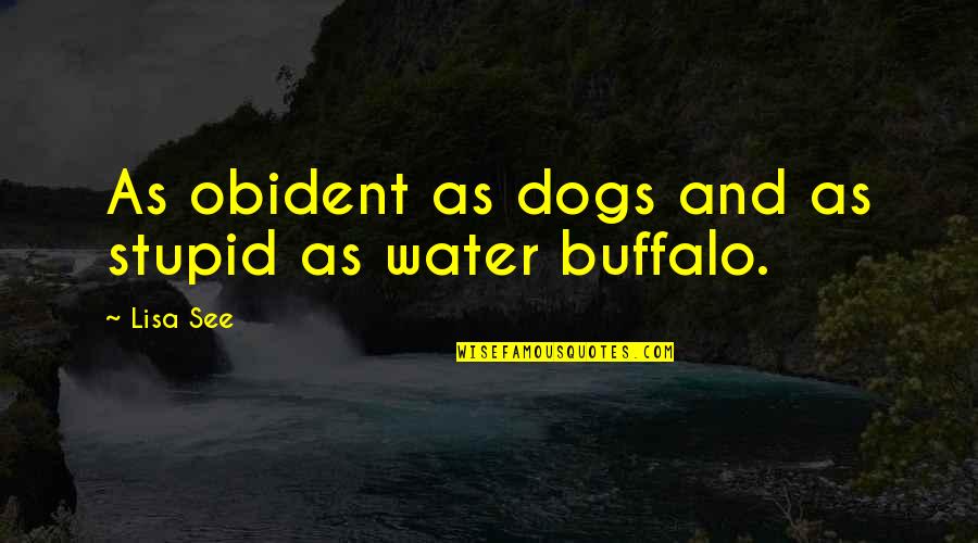 Dogs And Water Quotes By Lisa See: As obident as dogs and as stupid as
