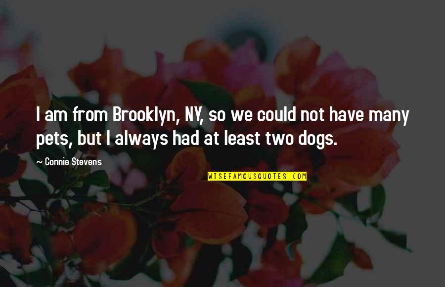 Dogs Are Always There For You Quotes By Connie Stevens: I am from Brooklyn, NY, so we could Dogs Are Always There For You Quotes By Connie Stevens: I am from Brooklyn, NY, so we could