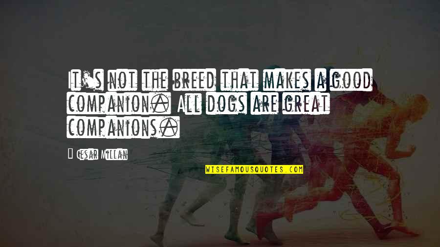 Dogs As Companions Quotes By Cesar Millan: It's not the breed that makes a good