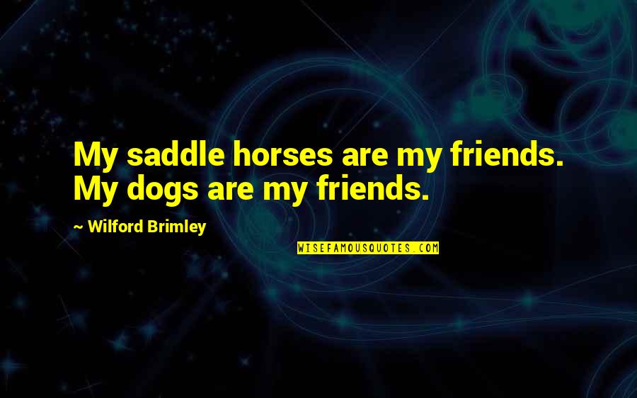 Dogs Best Friends Quotes By Wilford Brimley: My saddle horses are my friends. My dogs
