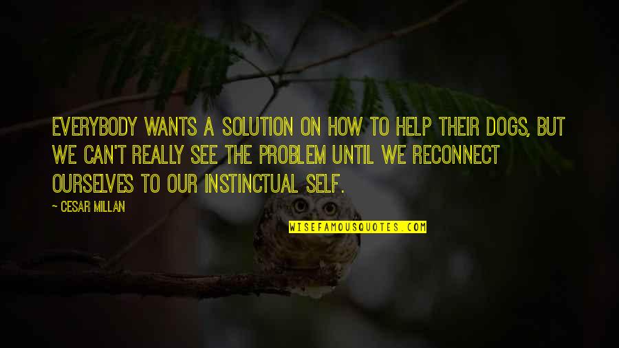 Dogs By Cesar Millan Quotes By Cesar Millan: Everybody wants a solution on how to help