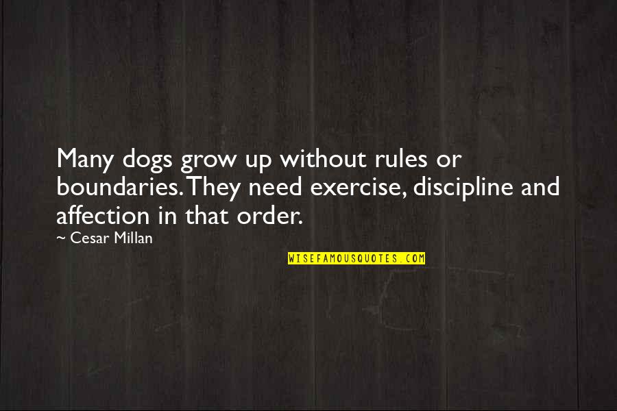 Dogs By Cesar Millan Quotes By Cesar Millan: Many dogs grow up without rules or boundaries.