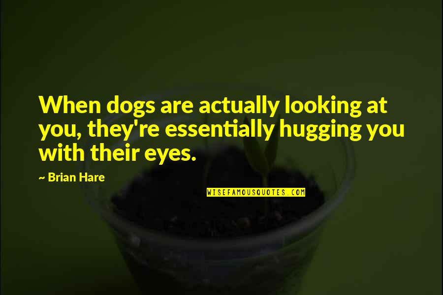 Dogs Eyes Quotes By Brian Hare: When dogs are actually looking at you, they're