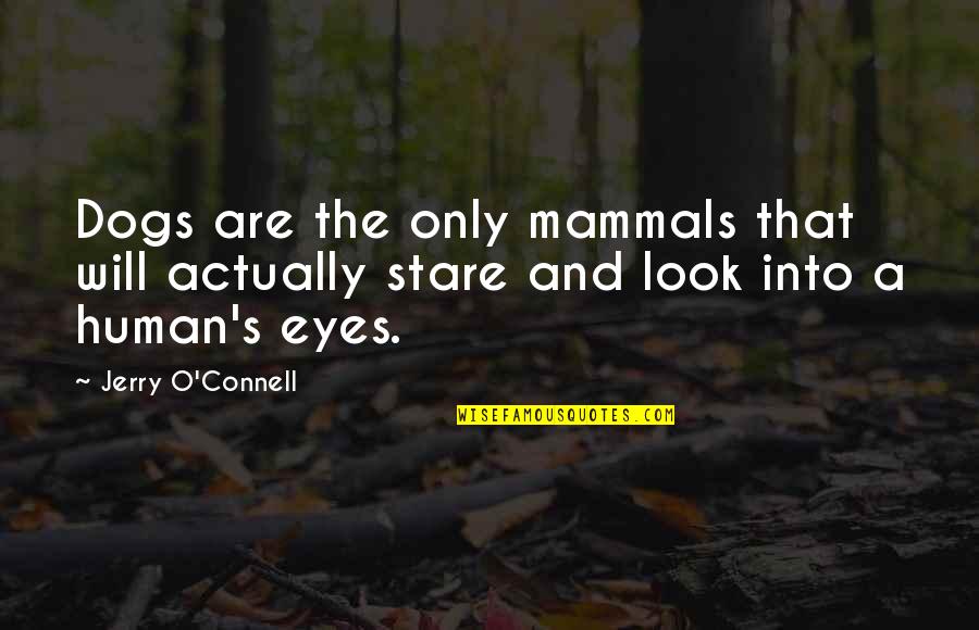 Dogs Eyes Quotes By Jerry O'Connell: Dogs are the only mammals that will actually