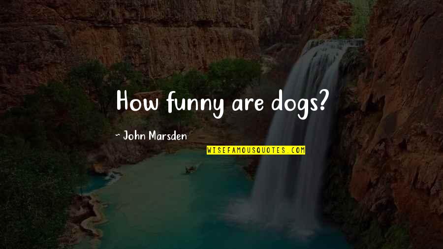 Dogs Funny Quotes By John Marsden: How funny are dogs?