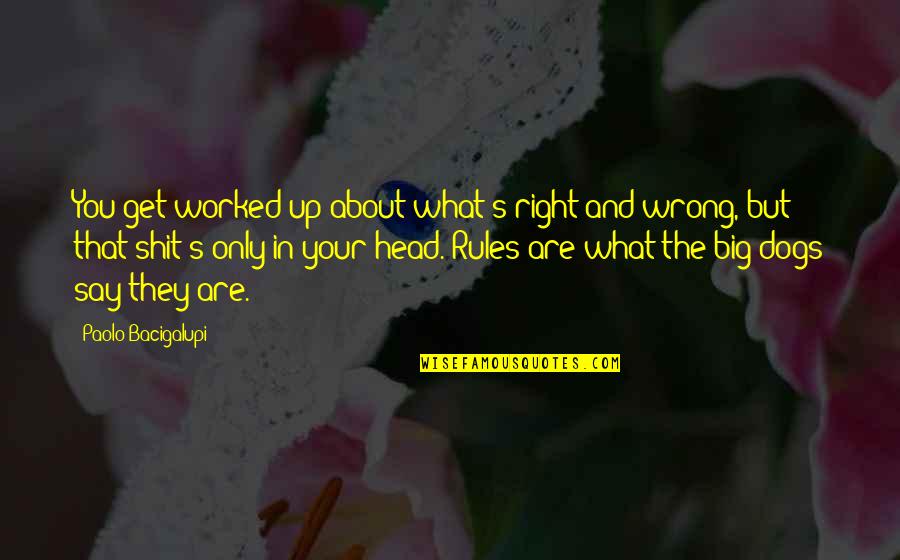 Dogs Head Quotes By Paolo Bacigalupi: You get worked up about what's right and