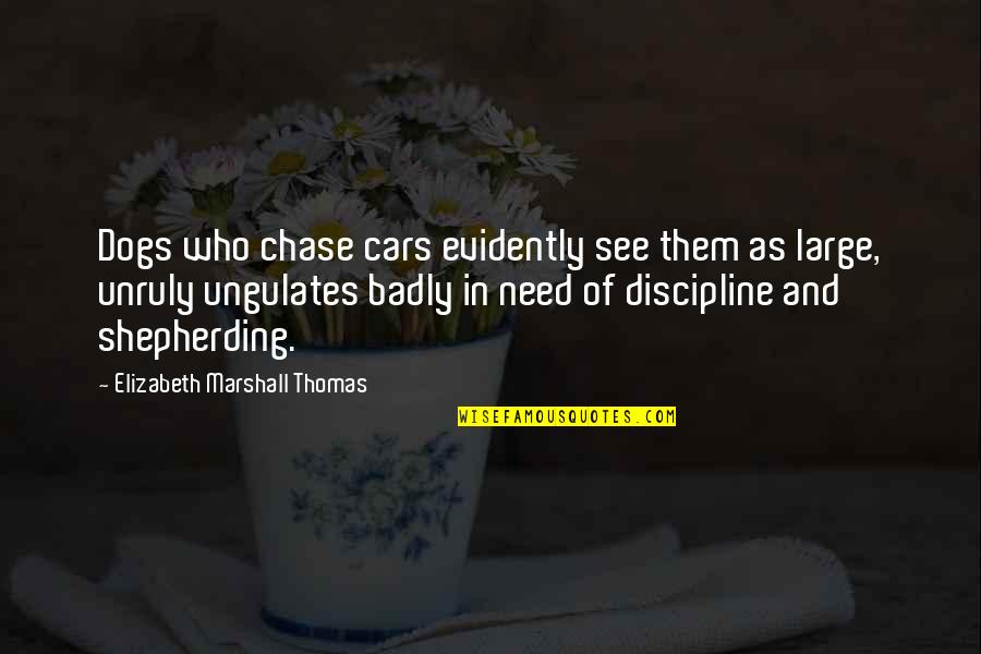 Dogs In Cars Quotes By Elizabeth Marshall Thomas: Dogs who chase cars evidently see them as