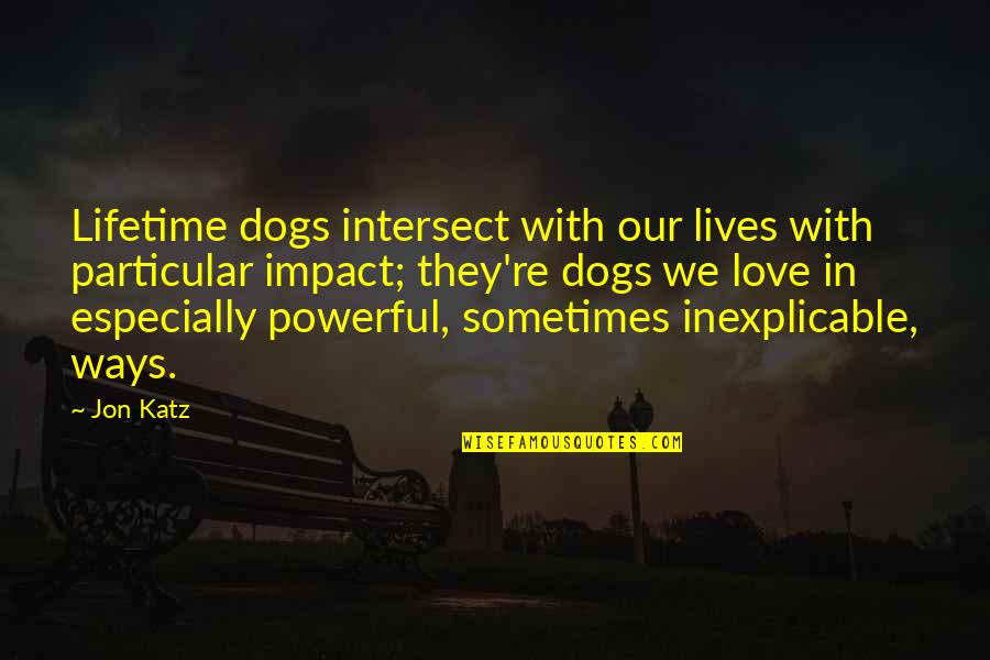 Dogs In Love Quotes By Jon Katz: Lifetime dogs intersect with our lives with particular