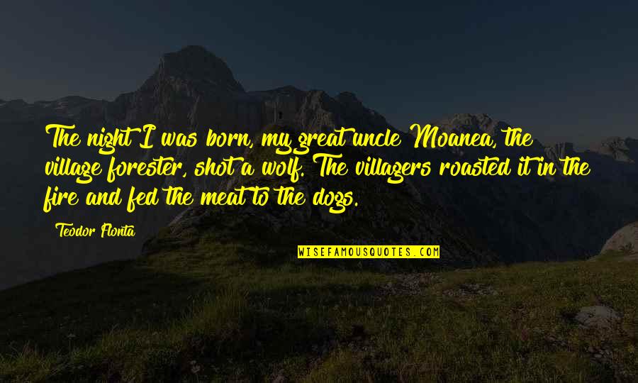 Dogs In Love Quotes By Teodor Flonta: The night I was born, my great uncle