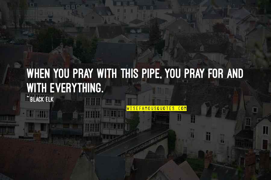 Dogs In Our Lives Quotes By Black Elk: When you pray with this pipe, you pray