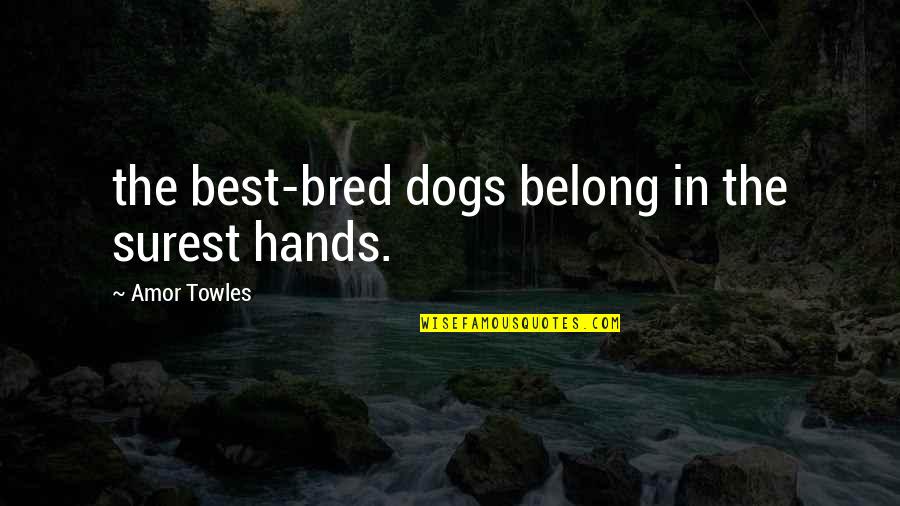 Dogs In Quotes By Amor Towles: the best-bred dogs belong in the surest hands.