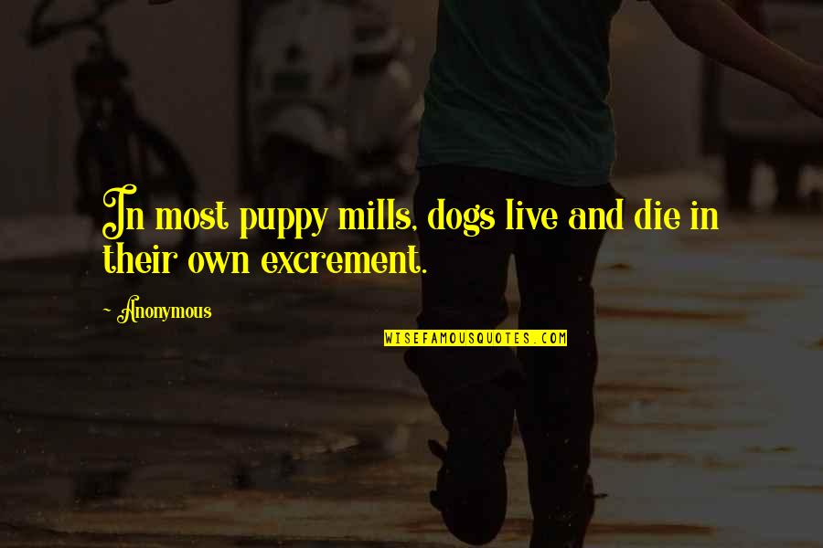 Dogs In Quotes By Anonymous: In most puppy mills, dogs live and die