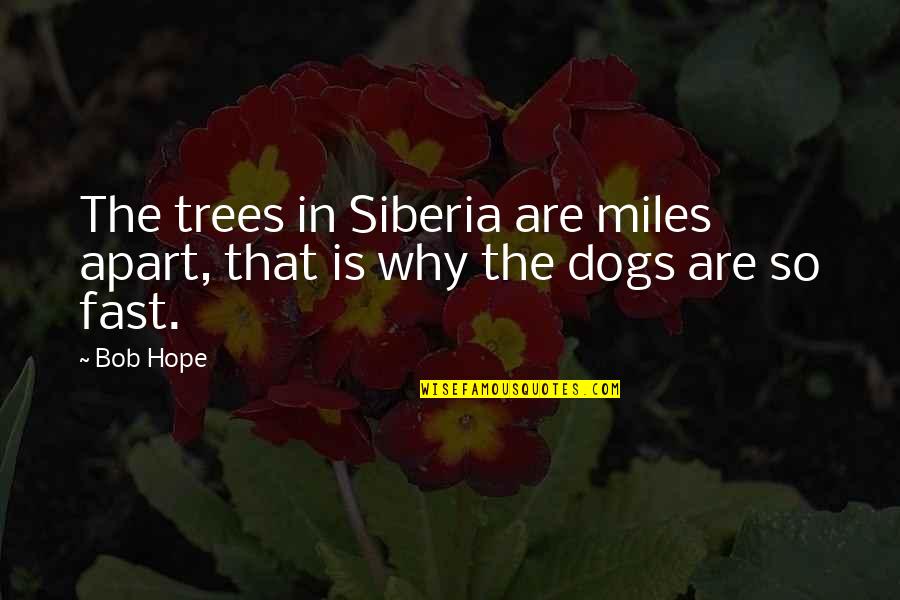 Dogs In Quotes By Bob Hope: The trees in Siberia are miles apart, that