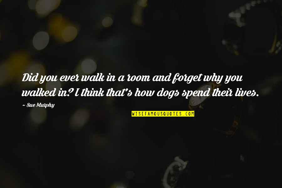 Dogs In Quotes By Sue Murphy: Did you ever walk in a room and