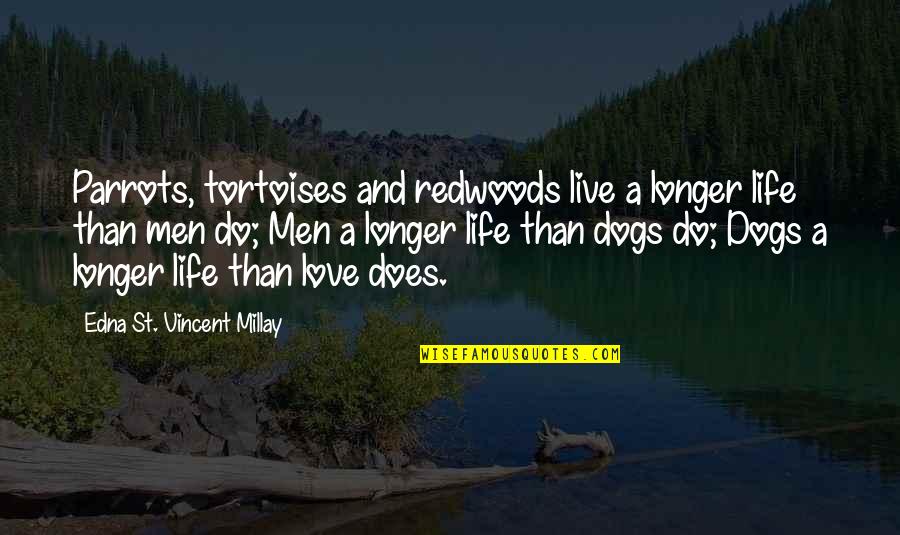 Dogs Life Love Quotes By Edna St. Vincent Millay: Parrots, tortoises and redwoods live a longer life