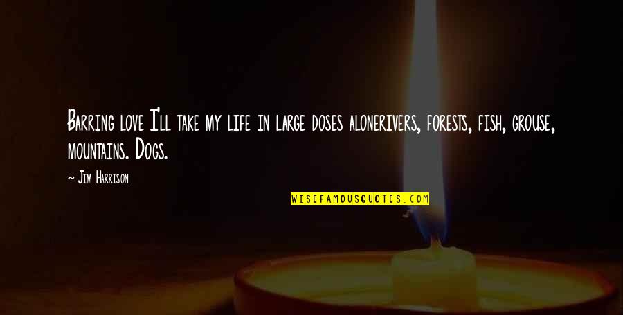 Dogs Life Love Quotes By Jim Harrison: Barring love I'll take my life in large Dogs Life Love Quotes By Jim Harrison: Barring love I'll take my life in large