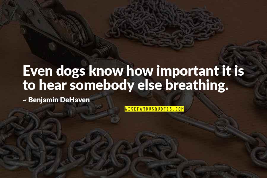 Dogs Love And Loyalty Quotes By Benjamin DeHaven: Even dogs know how important it is to