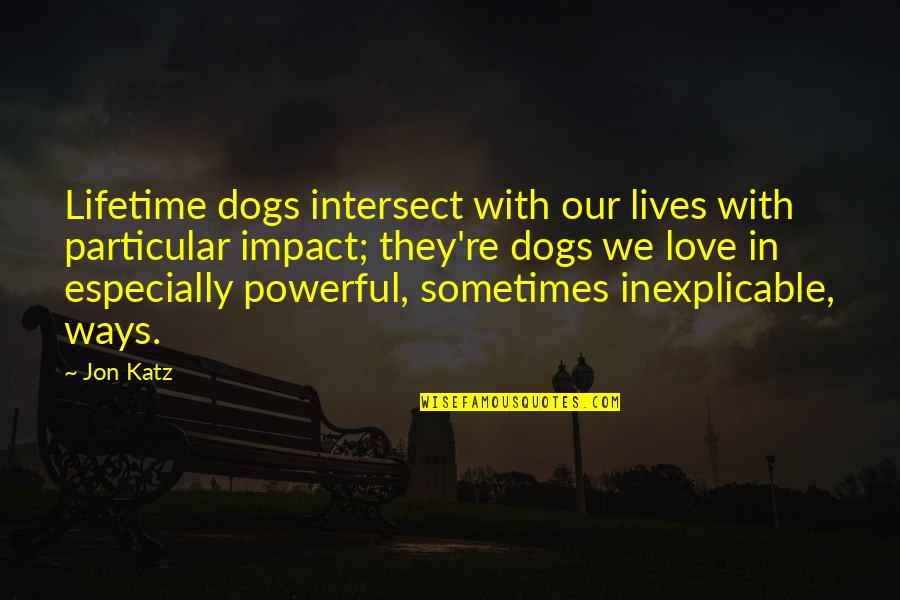 Dogs Love Quotes By Jon Katz: Lifetime dogs intersect with our lives with particular