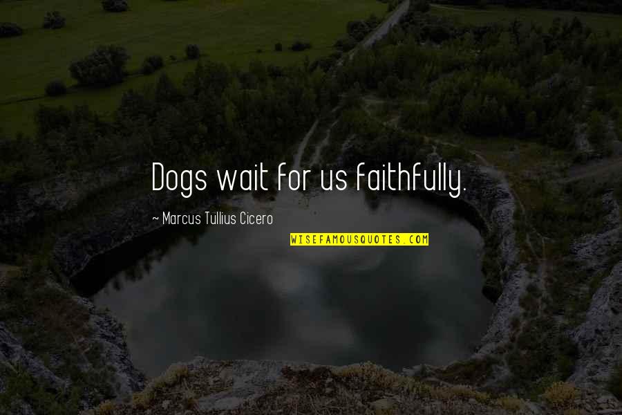 Dogs Love Quotes By Marcus Tullius Cicero: Dogs wait for us faithfully.