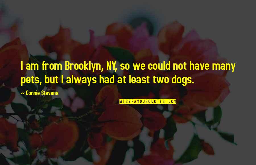 Dogs Pets Quotes By Connie Stevens: I am from Brooklyn, NY, so we could
