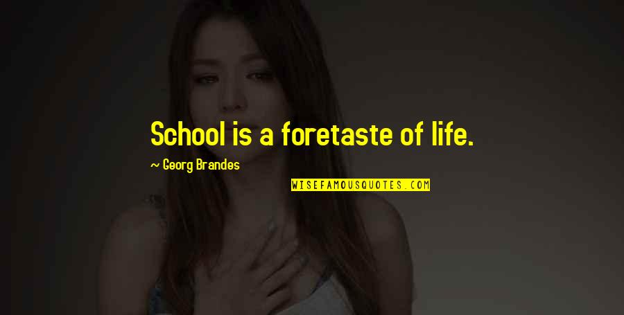 Dogs Wet Nose Quotes By Georg Brandes: School is a foretaste of life.
