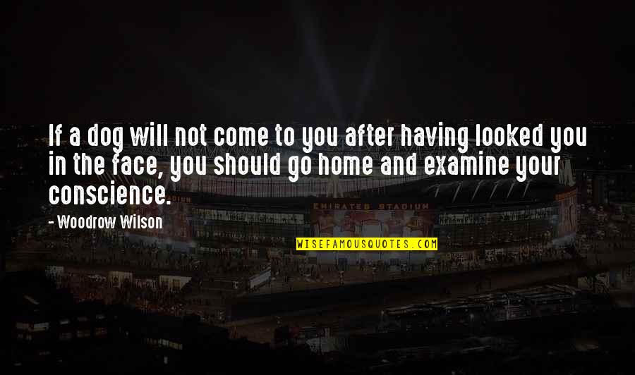 Dogs Will Be Dogs Quotes By Woodrow Wilson: If a dog will not come to you