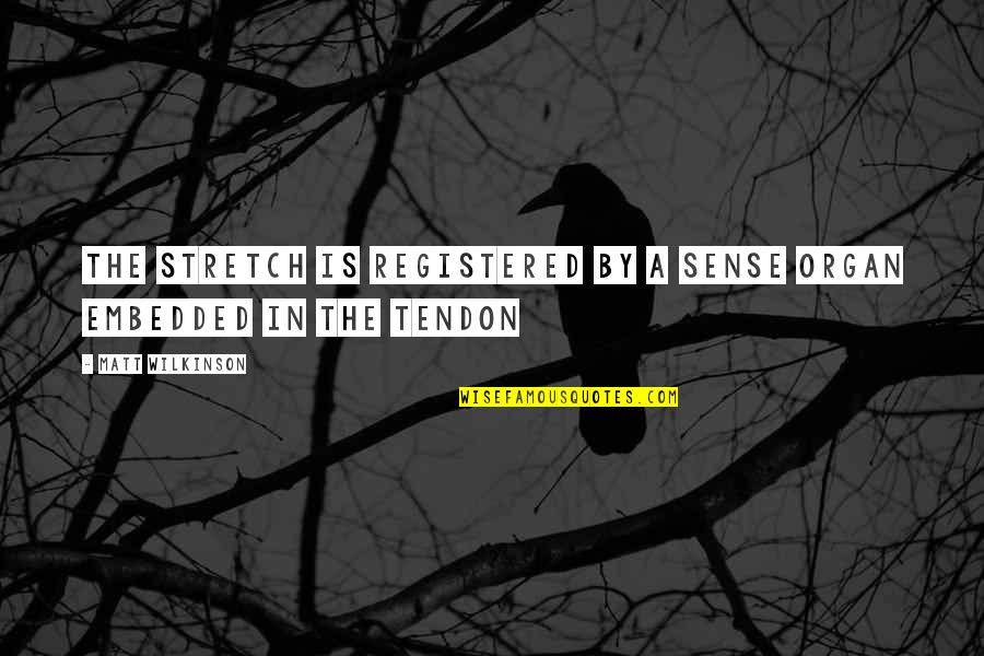 Dohar Blanket Quotes By Matt Wilkinson: The stretch is registered by a sense organ