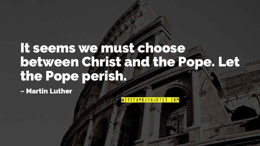 Dohnavur Amy Quotes By Martin Luther: It seems we must choose between Christ and