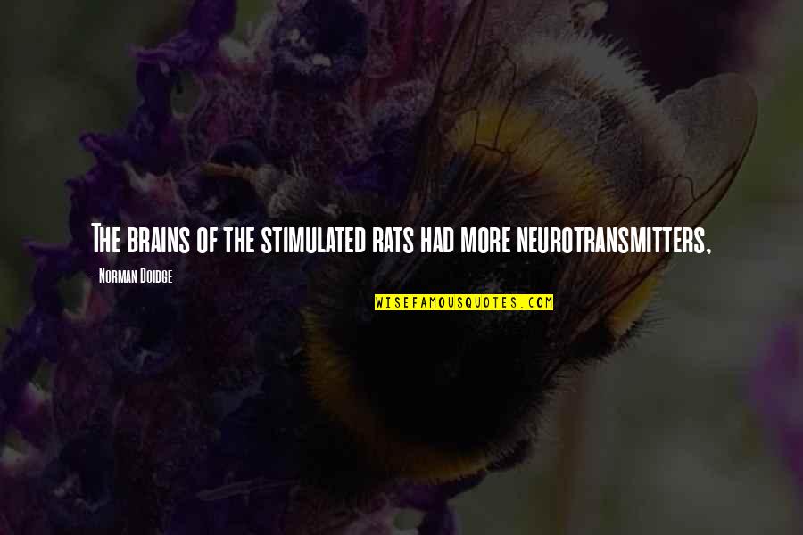 Doidge Norman Quotes By Norman Doidge: The brains of the stimulated rats had more Doidge Norman Quotes By Norman Doidge: The brains of the stimulated rats had more