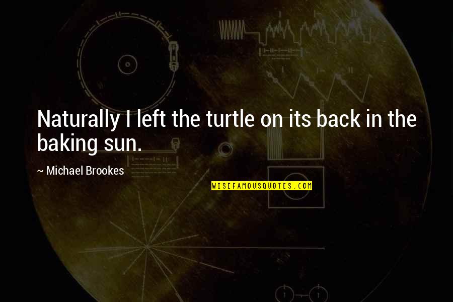 Doilies Crafts Quotes By Michael Brookes: Naturally I left the turtle on its back Doilies Crafts Quotes By Michael Brookes: Naturally I left the turtle on its back