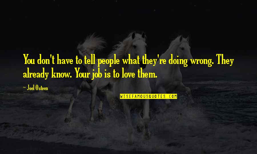 Doing A Job You Love Quotes By Joel Osteen: You don't have to tell people what they're