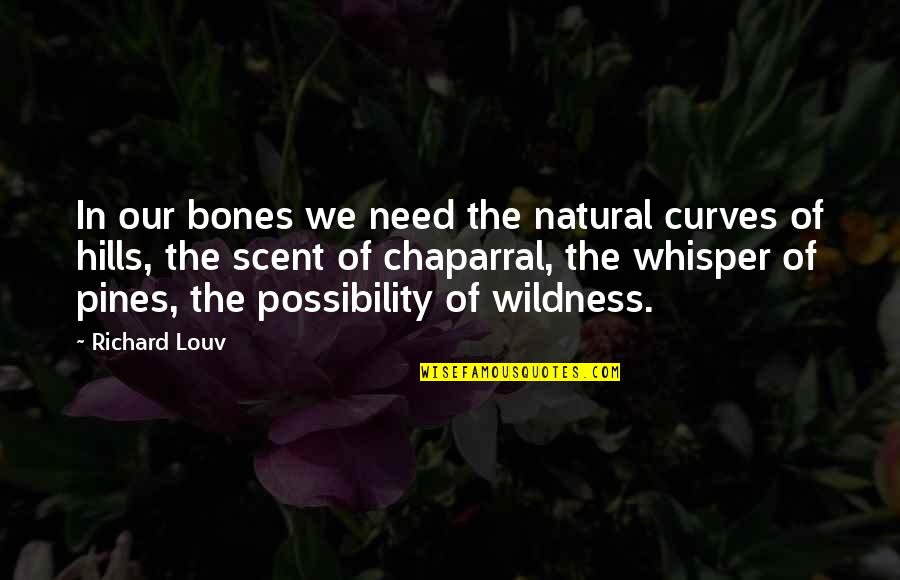 Doing Bigger And Better Things Quotes By Richard Louv: In our bones we need the natural curves