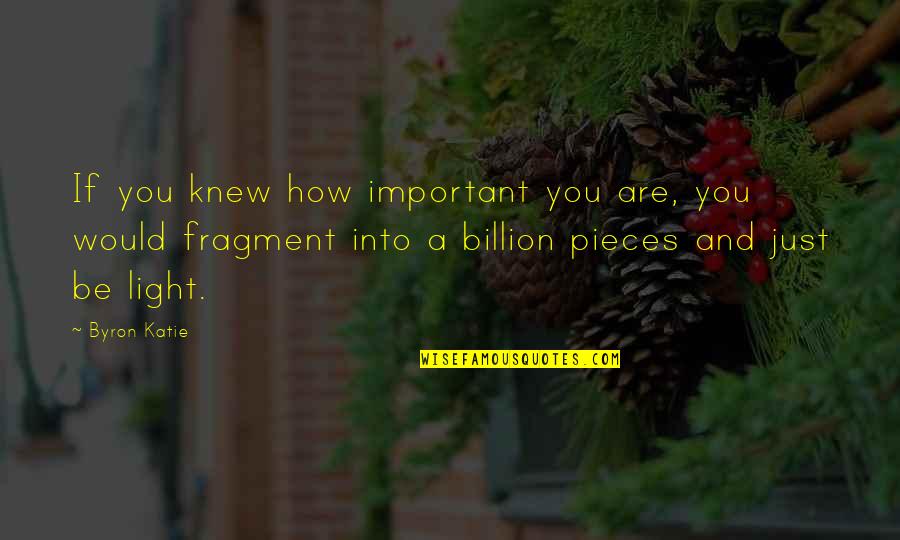 Doing Dirty Work Quotes By Byron Katie: If you knew how important you are, you