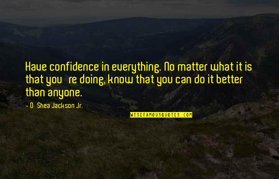 Doing Everything Quotes By O'Shea Jackson Jr.: Have confidence in everything. No matter what it