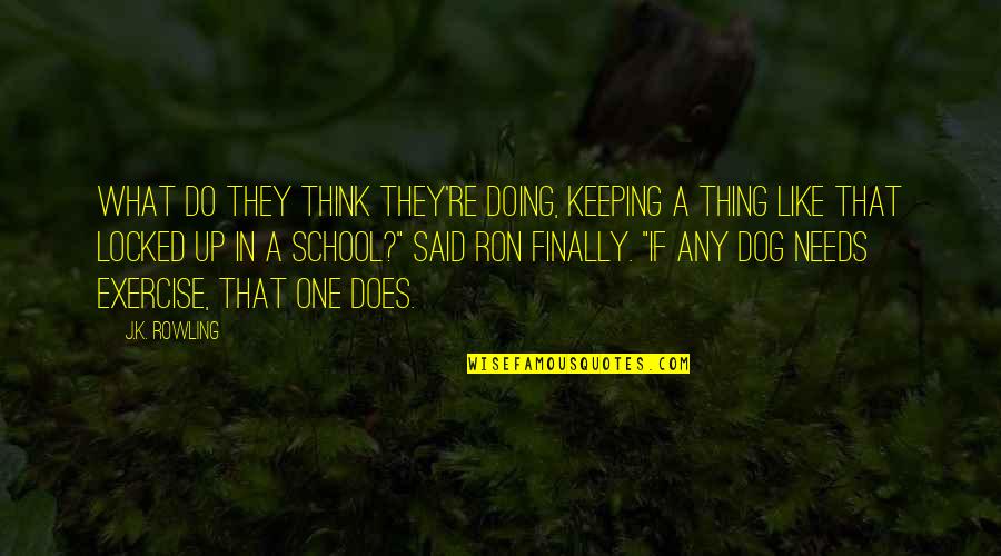 Doing Exercise Quotes By J.K. Rowling: What do they think they're doing, keeping a