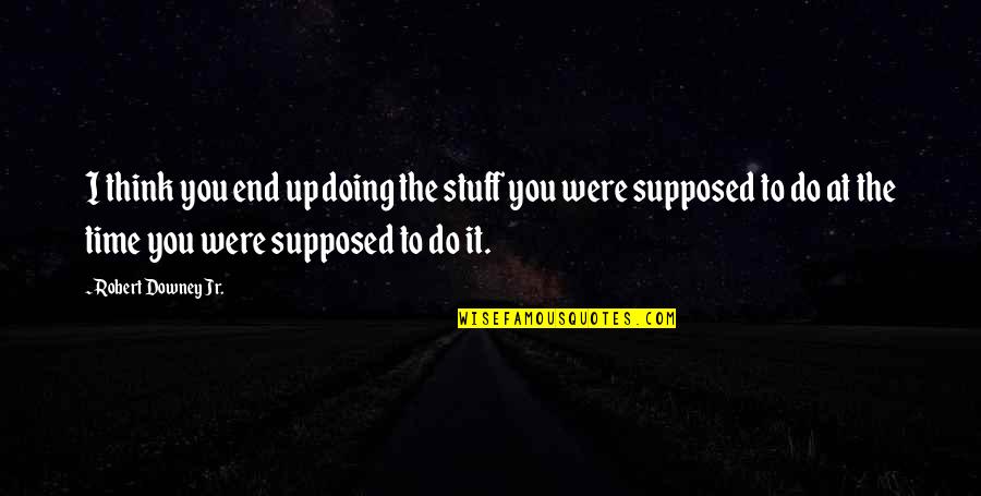 Doing It All On Your Own Quotes By Robert Downey Jr.: I think you end up doing the stuff