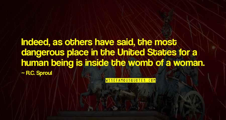 Doing It Melvin Burgess Quotes By R.C. Sproul: Indeed, as others have said, the most dangerous