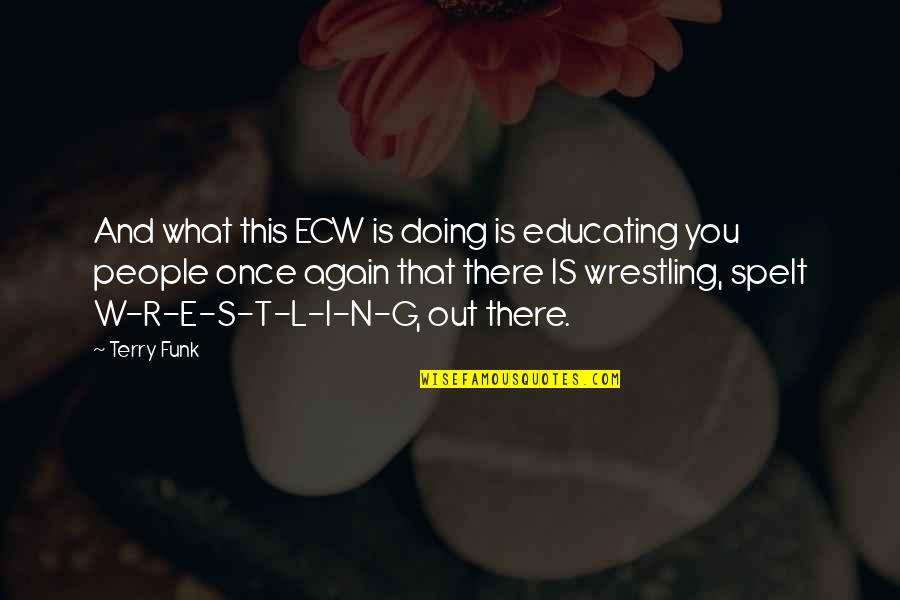 Doing It Over Again Quotes By Terry Funk: And what this ECW is doing is educating