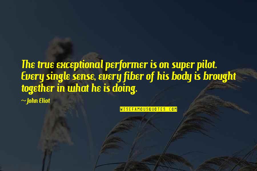 Doing It Together Quotes By John Eliot: The true exceptional performer is on super pilot.