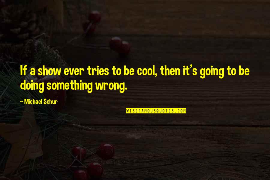 Doing It Wrong Quotes By Michael Schur: If a show ever tries to be cool,